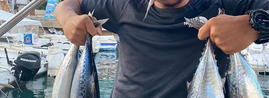 Visite privée de pêche - Tours en bateau pélagique à Saranda