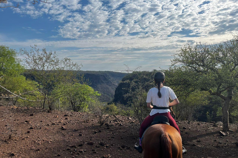 Victoria Falls: African Village Community Tour on Horseback