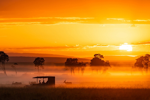 4 Tage Tansania Mid-Range Lodge Safari