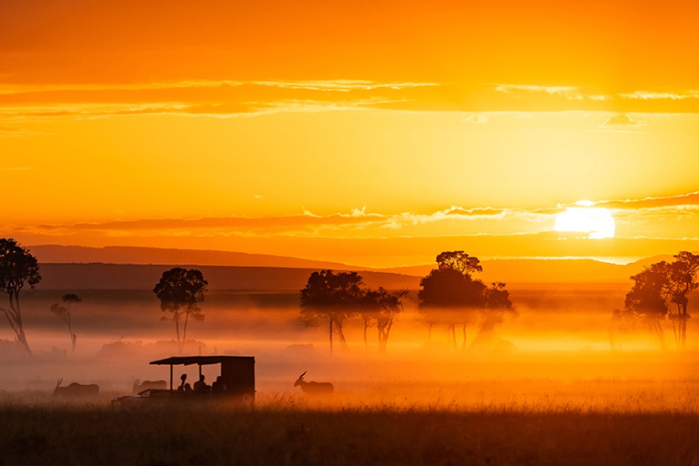 4 Tage Tansania Mid-Range Lodge Safari