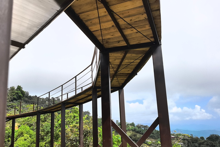 From Huatulco to Pluma Hidalgo: a gastronomic and natural immersion