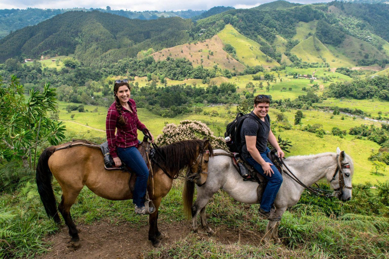 Medellin: Horseback Riding & Craft Beer, The Perfect Plan in the East