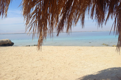 Hurghada: Delfiner, snorkling och Magawish Island Yacht Trip