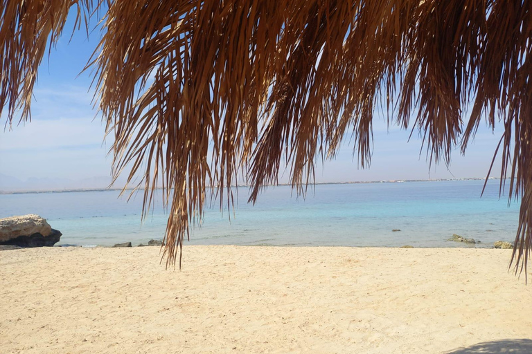 Hurghada: Delfiner, snorkling och Magawish Island Yacht Trip