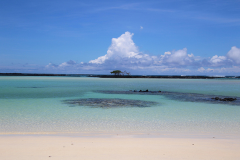 From Puerto Ayora: Santa Fe Island Snorkeling Day Tour