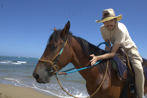 Puerto Plata: Beach Horseback Ride with Swim and Drinks Puerto Plata: Beach Horseback Ride with Swim and Drinks