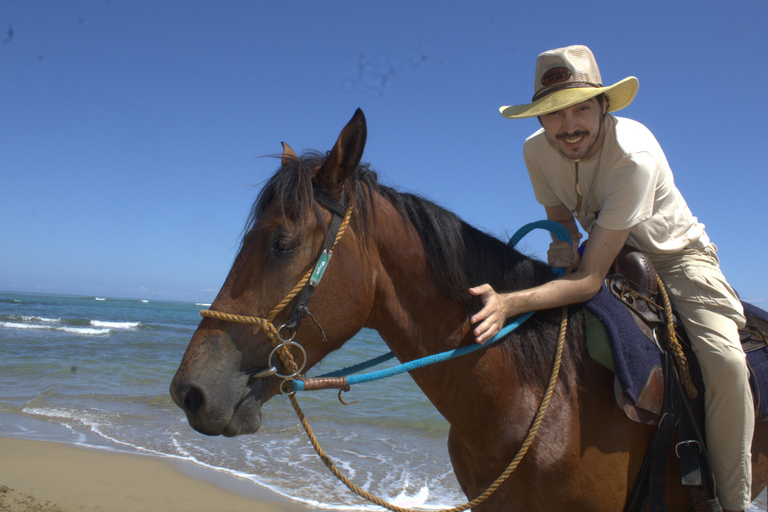 Puerto Plata: Beach Horseback Ride with Swim and Drinks Puerto Plata: Beach Horseback Ride with Swim and Drinks