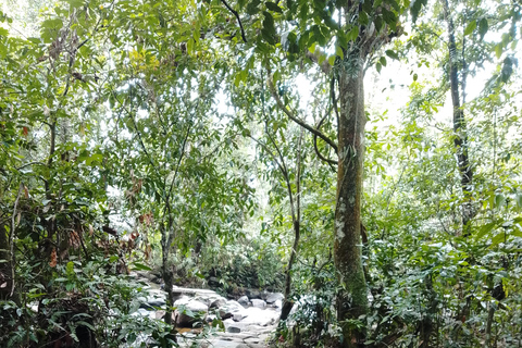 Polgampola Waterfall Tour by Tuk Tuks From Bentota area