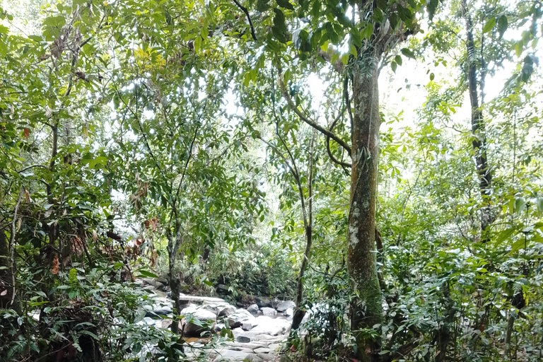 Polgampola Waterfall Tour by Tuk Tuks From Bentota area