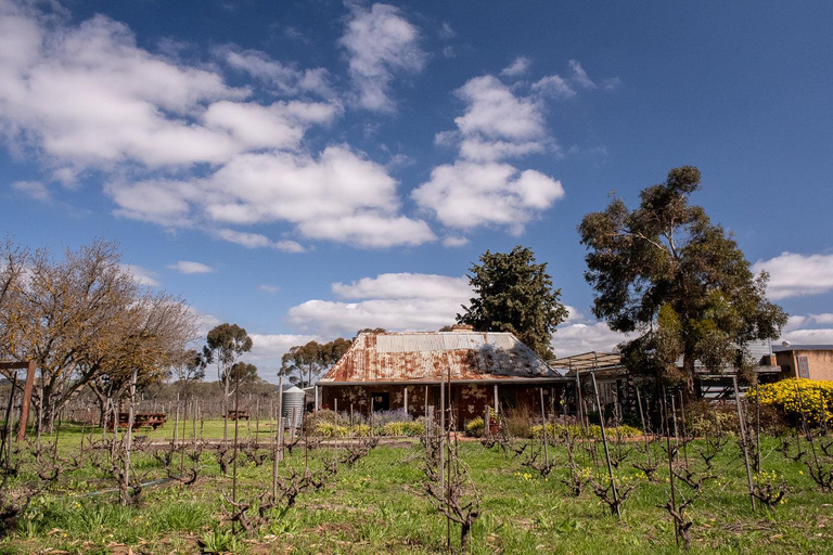 Barossa Shiraz Barrel Tasting with Winemaker at Gibson Wines