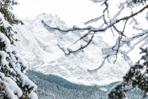 Munich: Zugspitze, Eibsee & Neuschwanstein. Private Tour