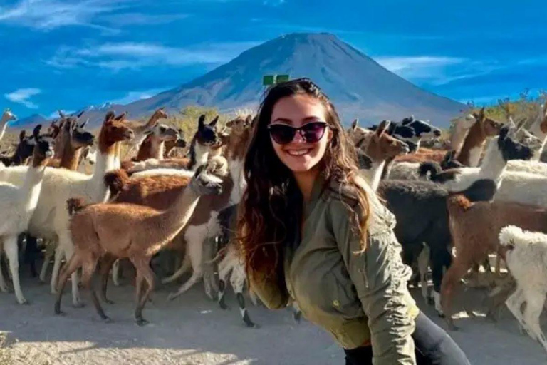 Von Arequipa: 2-tägiger Ausflug zum Vulkan Misti
