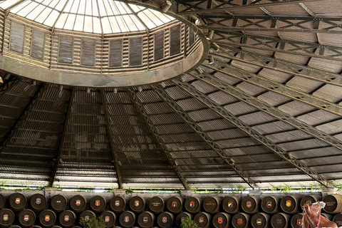 Jerez de la Frontera: Historical Sightseeing Tour, Winery Tour, and Wine Tasting