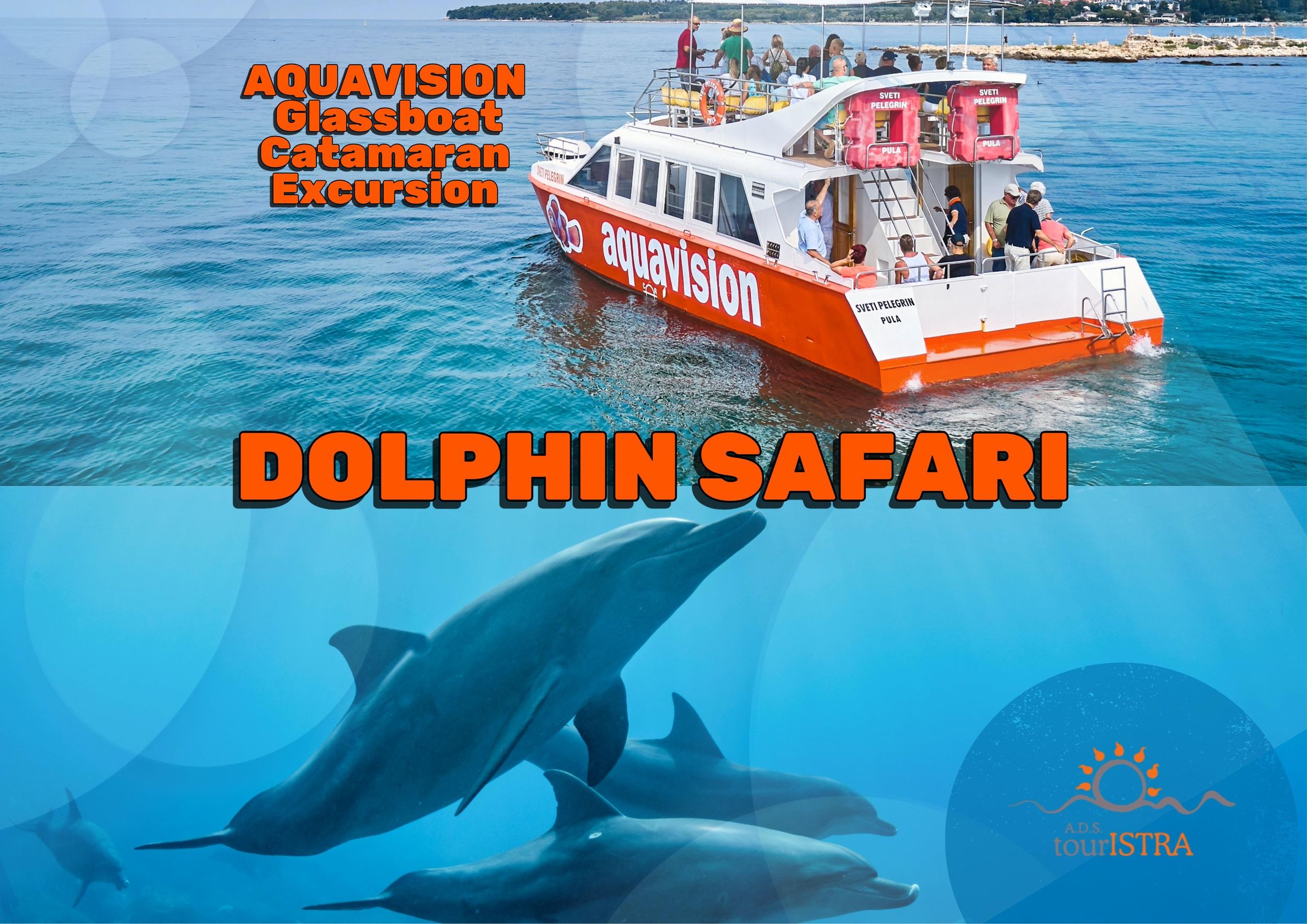 Umag: Delfinbeobachtung mit Katamaran mit Glasboden