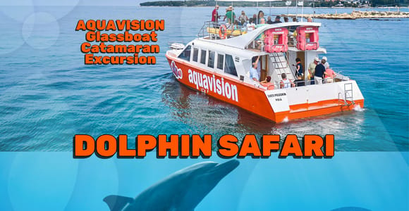 Umag: Delfinbeobachtung mit Katamaran mit Glasboden