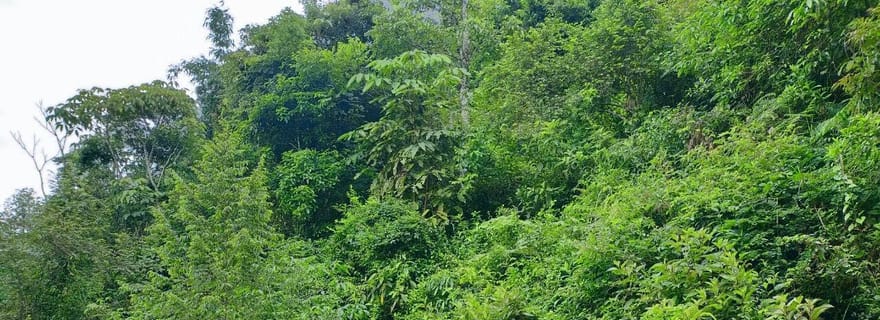 Sapa : Excursion privée d'une journée à Suoi Ho et aux villages de Ma Tra