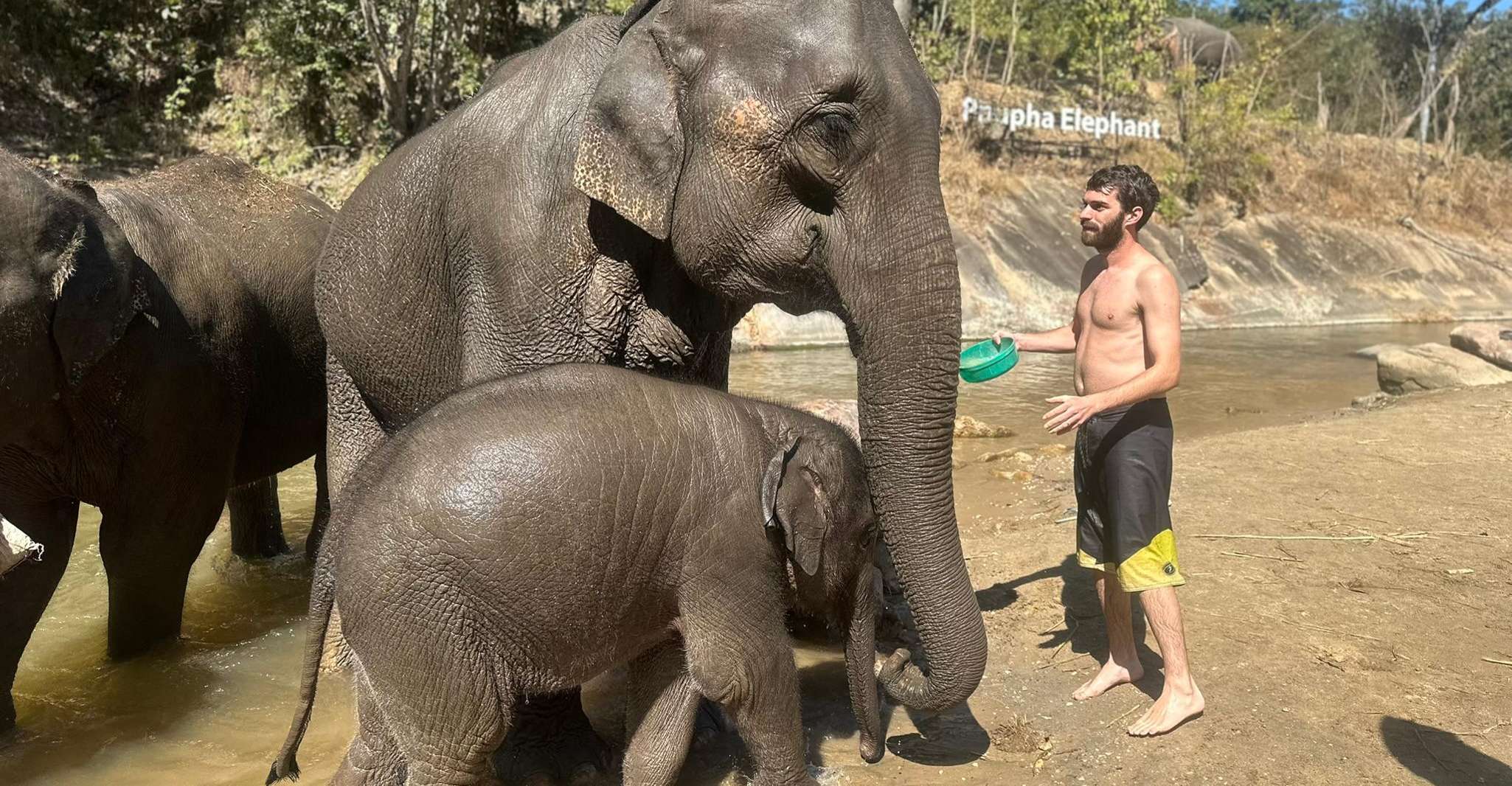Chiang Mai, Elephant Sanctuary & Waterfall Group Tour - Housity