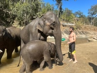 Chiang Mai, Elephant Sanctuary & Waterfall Group Tour - Housity