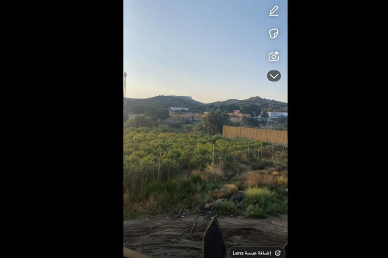 Makkah or Jeddah to Al-Hada, Al-Shafa, and Taif City Tour A journey full of experiences، learn about Saudi hospitality