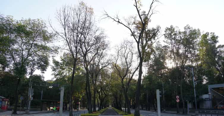 Mexico City: 19 City Highlights Bicycle Tour photo 5