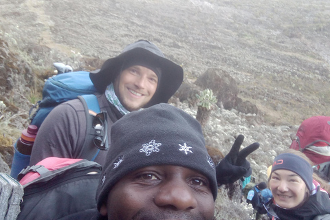 Kilimanjaro: 6-Day Machame Route Trekking Adventure