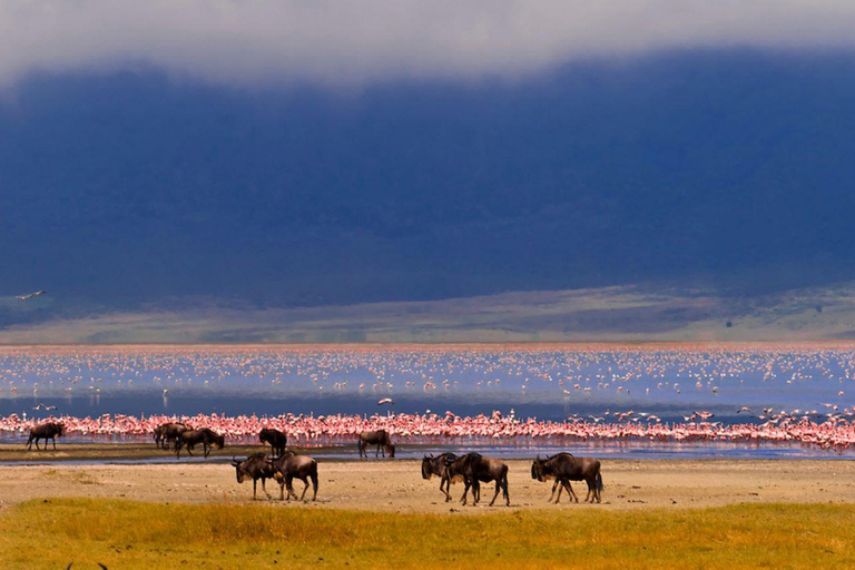 From Nairobi: Lake Magadi 2-Day Trip with Game Drive & Hike