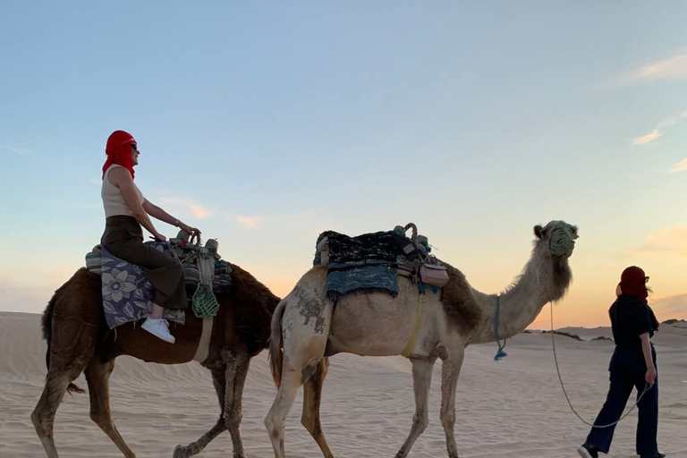 From Djerba: Douz, Matmata Star Wars Sites & local market