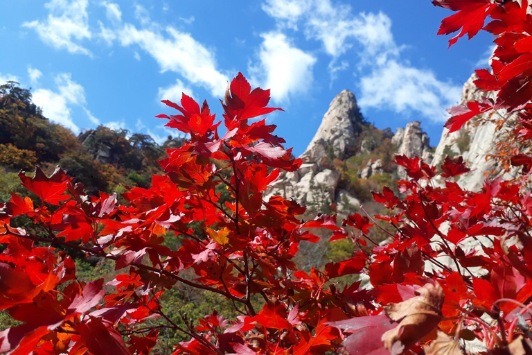 Seoul: Monte Seorak, Isola di Nami, No ShoppingTour di gruppo - dalla stazione universitaria di Hongik uscita 8