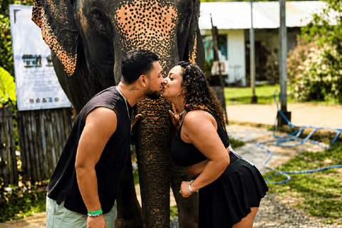 Jaipur: Elephant Jungle Sanctuary Feed and Shower Trip