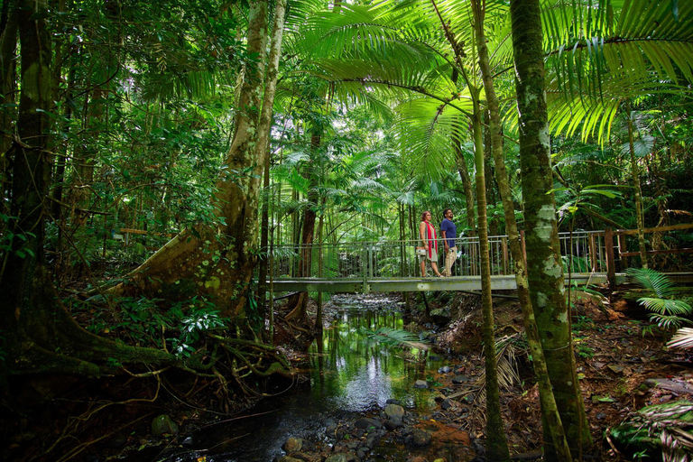 Cairns: 3-Day Daintree, Cape Tribulation & Port Douglas Tour Private Single Room (Adults only)