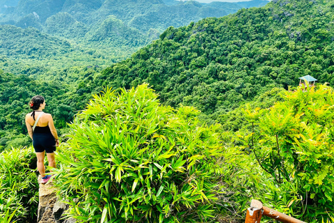 Half day Hiking Cat Ba National Park With guide