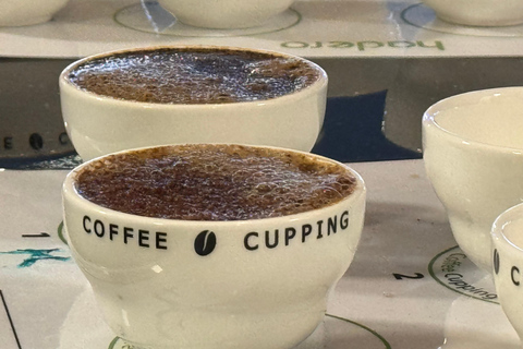 Where Coffee Was Born: Addis Ababa Culture & Highlands Tour