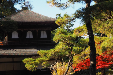 E-Bike Tour in Kyoto with Asuka, Japanese graduate student