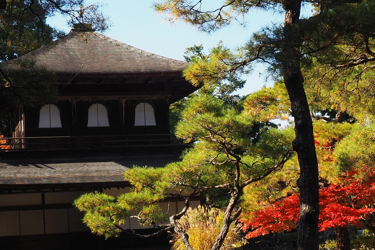 E-Bike Tour in Kyoto with Asuka, Japanese graduate student