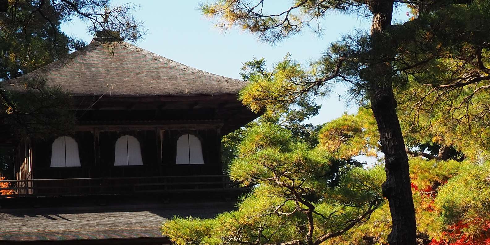 Kyoto experience — temples, geisha, bamboo grove — image 70