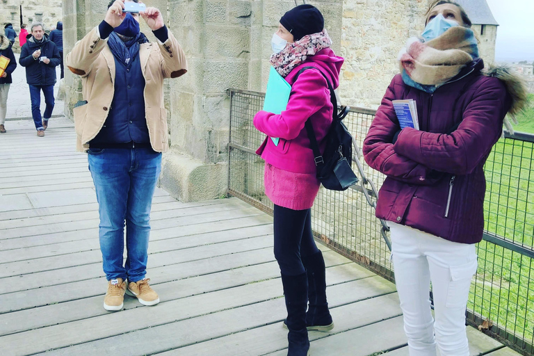 Carcassonne: 1h30 Walking Tour of the Medieval City