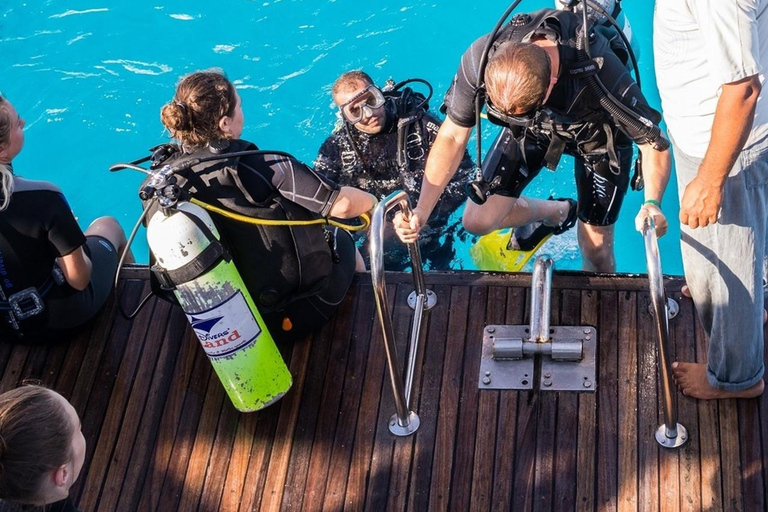 Marmaris: Full-Day Scuba Diving Trip with Lunch & Pickup Scuba Diving Experience (Meeting Point)