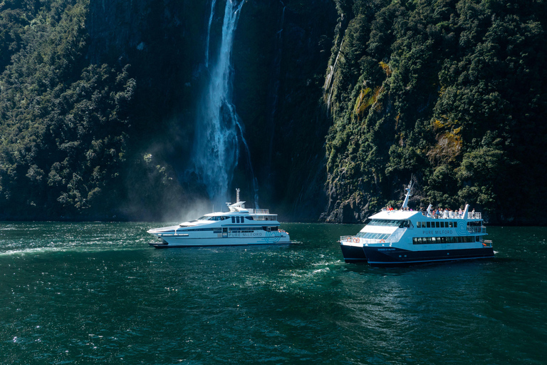 Milford Sound: Waterfalls, Wildlife, and Rainforest Cruise Midday Cruise