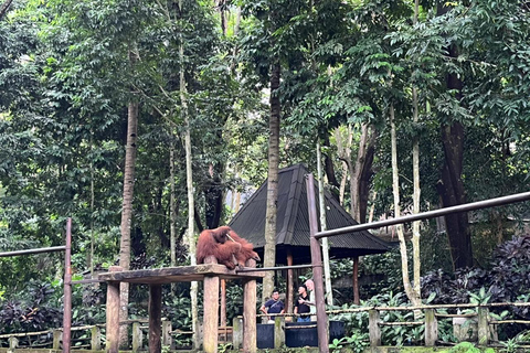 Lombok Wildlife Park and Sunset Escape Big Group