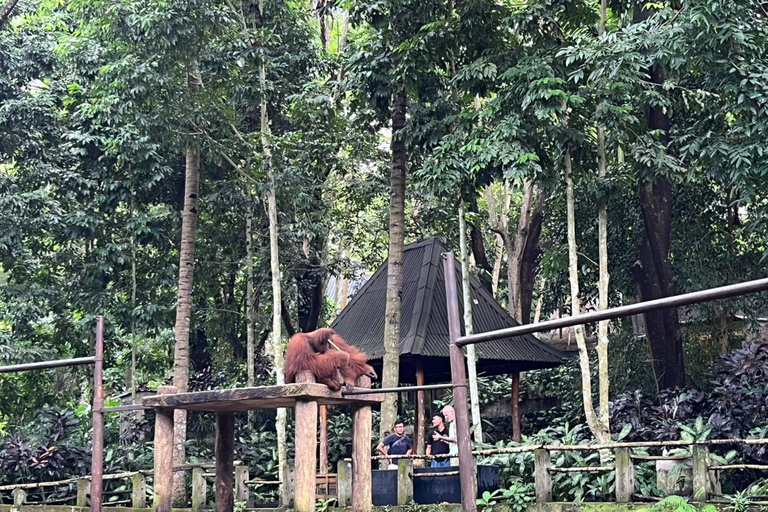 Lombok Wildlife Park and Sunset Escape Big Group