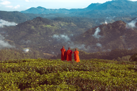 Viaje de 10 días por el Triángulo Cultural de Sri Lanka+alojamiento 5 estrellas