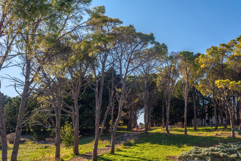 Rhodes: Filerimos & Valley of the Butterflies & Wine Tasting Tour With Pick up From FALIRAKI & KALLITHEA