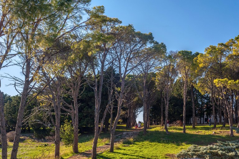Rhodes: Filerimos & Valley of the Butterflies & Wine Tasting Tour With Pick up From FALIRAKI & KALLITHEA