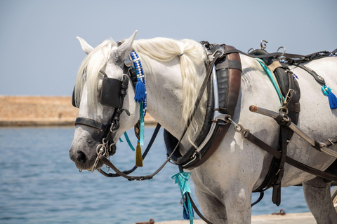 Mykonos: Coastal Morning Horseback Ride to the Beach Mykonos: Coastal Morning Horseback Ride to Fokos Beach