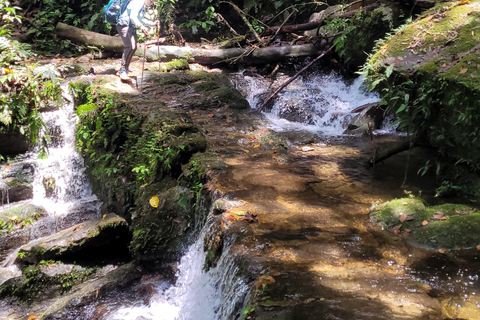 CAMINHO DO OURO - Geführte Tour durch den Atlantischen Wald, Wasserfälle und Geschichten.