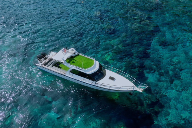 From Bali: Nusa Penida Private Snorkeling Tour with Lunch Shared Boat Trip with Meeting Point at Sanur