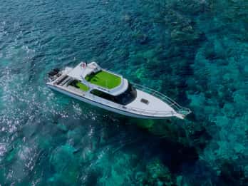 Da Bali: Tour privato di Nusa Penida per lo snorkeling con pranzo