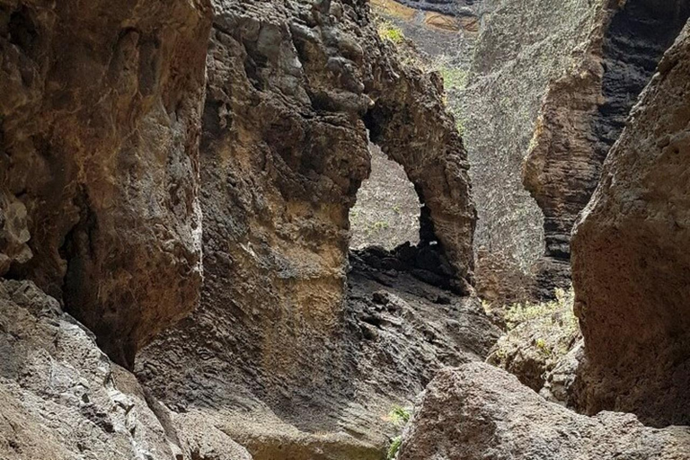 Sentier des gorges de Masca : Randonnée guidée