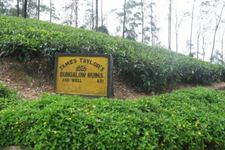 James Taylor's Enchanting Tea Story Tour from Kandy