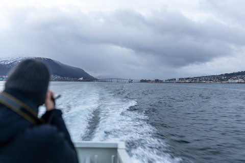 Tromsø: Responsible Whale Watching Cruise Aboard MS Alba